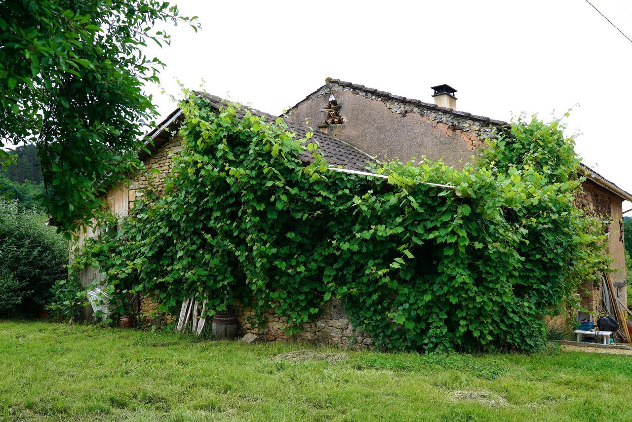 Villa La Prairie à Siorac-en-Périgord Extérieur photo